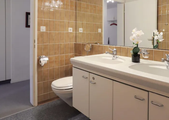 Allod Park Haus C 501 By Interhome Apartment Davos